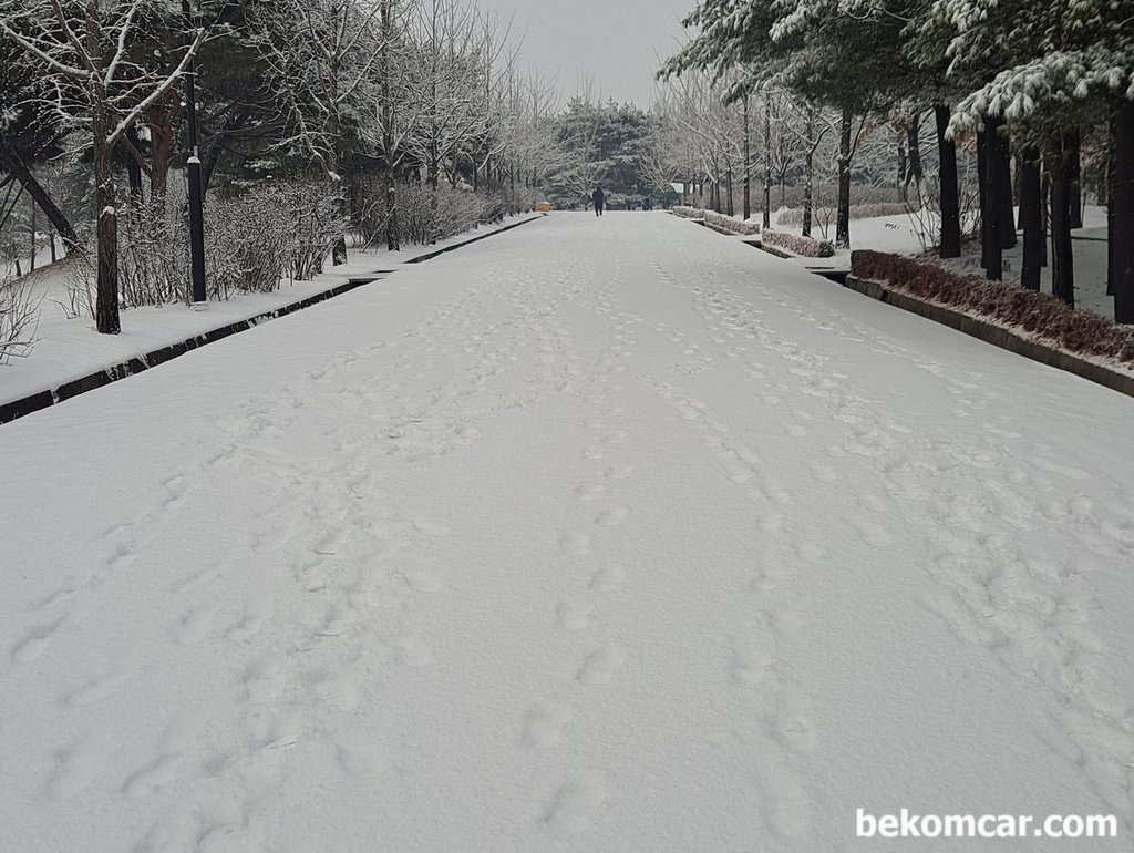 눈이 많이 왔다. 좋다. 그리고 걱정도 된다|ベコムカー (bekomcar)