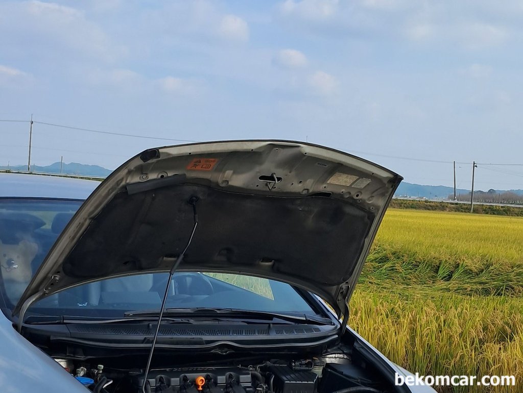 혼다 시빅, 라스의 어느가을날의 들판 나들이|베콤카 (bekomcar.com)