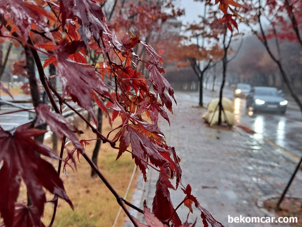 비가오는 어느 11월의 아침 출근길|贝科姆汽车 (bekomcar)