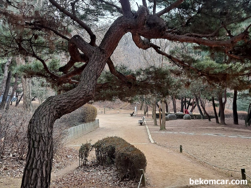 출근길에 찰칵, 항상 경치가 좋은 정발산이다|贝科姆汽车 (bekomcar)