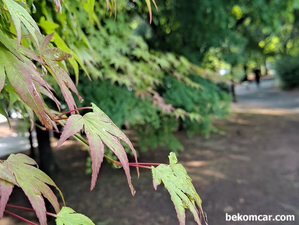 읍내에 다녀오는길이다. 서울이 읍내이다|bekomcar.com