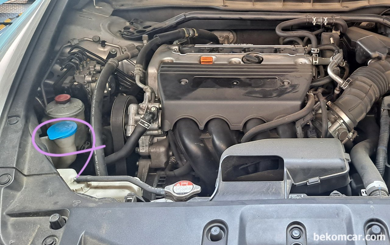 8th gen Accord 2.4L window washer fluid top off, None|bekomcar.com