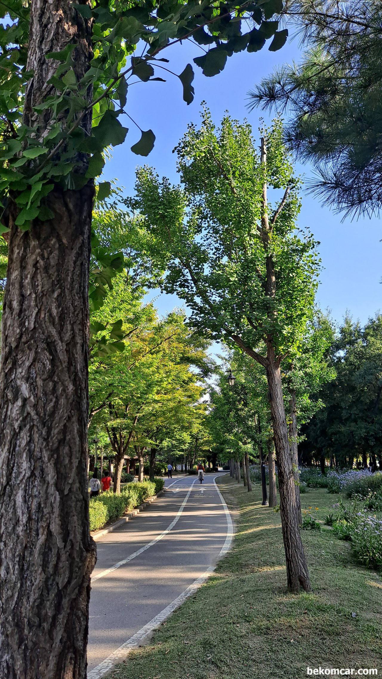 고양 일산호수 공원 조깅, 공기가 가을을 알려준다, None|베콤카 (bekomcar.com)