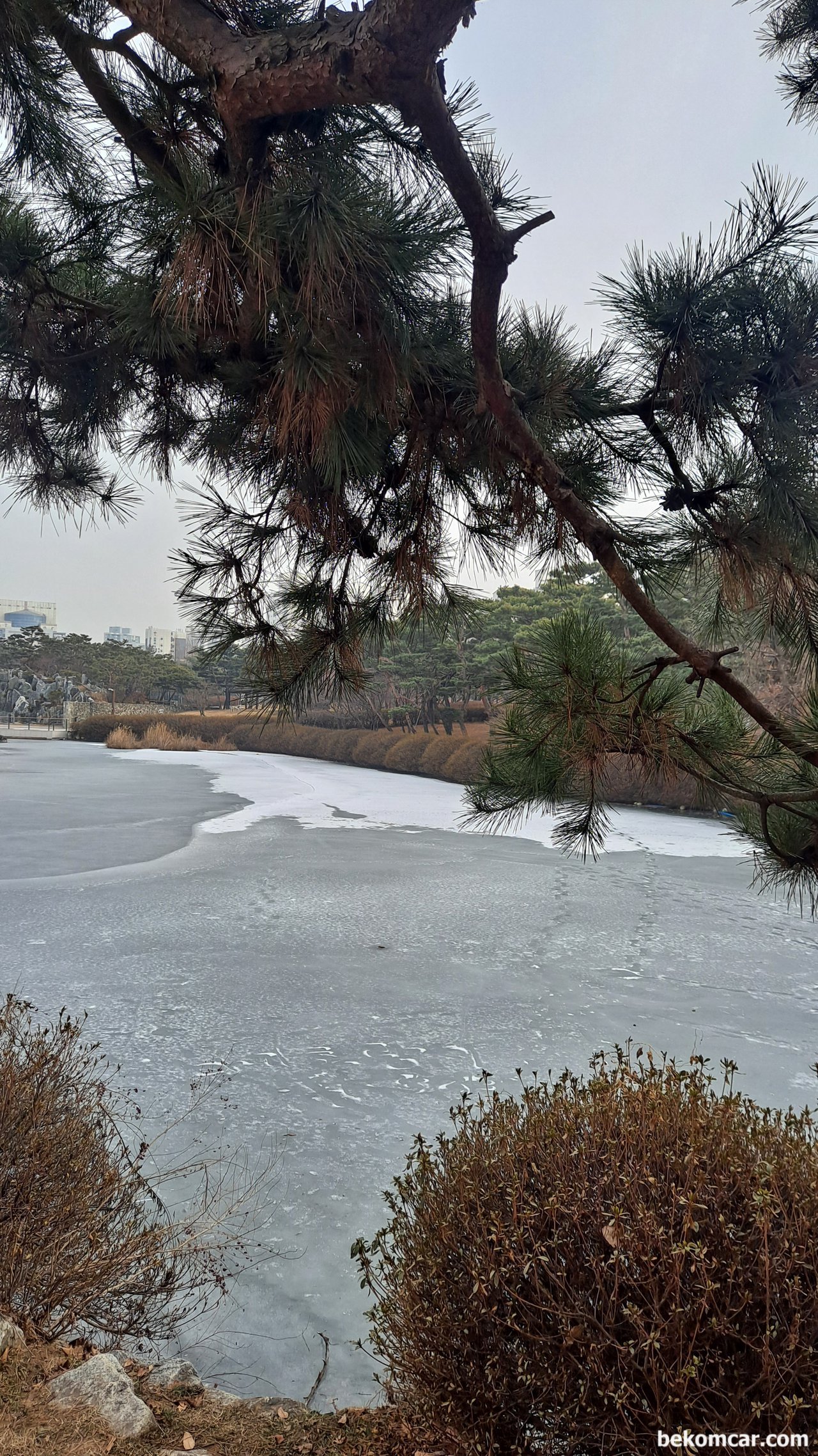 일산호수공원 산책중, 아직 얼어있다., |베콤카 (bekomcar.com)