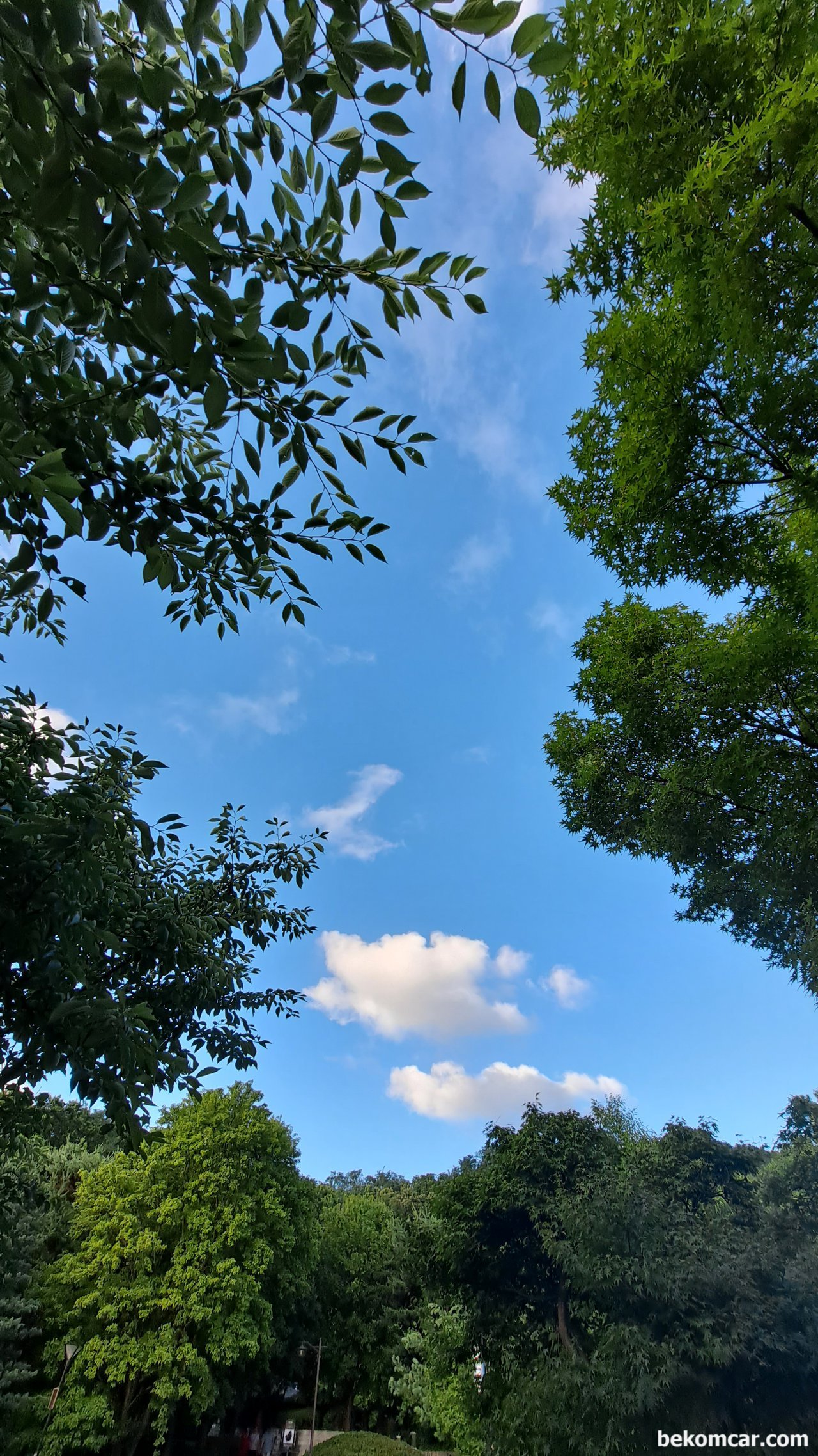 호수공원 조깅하기전, 비가 온 다음에 참 맑은 하늘이다, 호수공원 조깅후 정발산 모습. 비가 온 다음에 참 맑은 하늘이 참 좋다.|베콤카 (bekomcar.com)