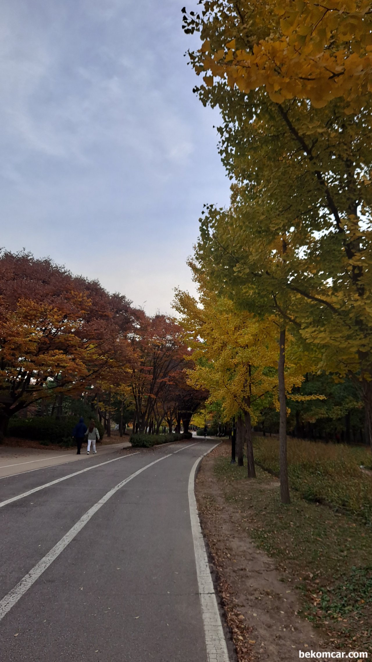 일산호수공원 산책길이다. 오늘도 달린다., 일산호수 공원의 산책길이다. 가을이다. 진짜 가을이다.|베콤카 (bekomcar.com)