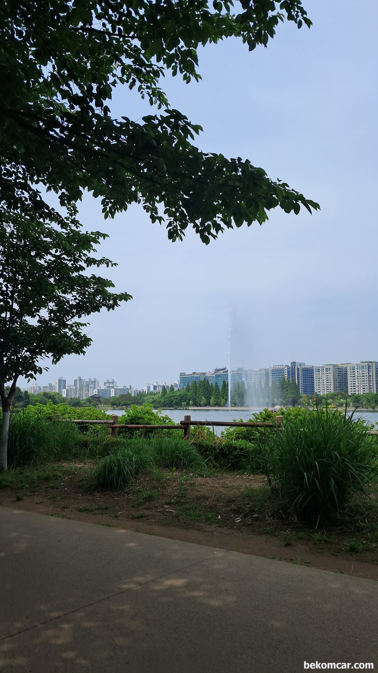 2023 어느 봄날의 일산호수공원 보라색 꽃, 호수공원의 중앙에 있는 분수대 이다.이제 일산의 봄을 만끽하는 시기이다.|بيكومكار (bekomcar)