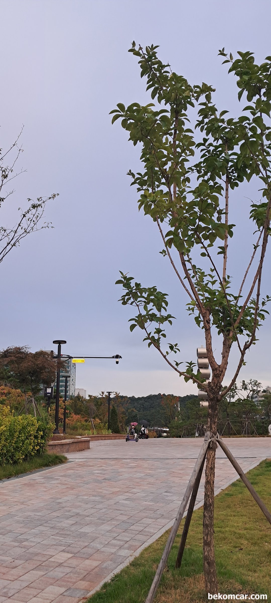 어느 가을 날 일산 호수공원 모습, 얼마전에 바꾼 일산 호수공원으로 가는 육교옆 공원다리이다.|베콤카 (bekomcar.com)